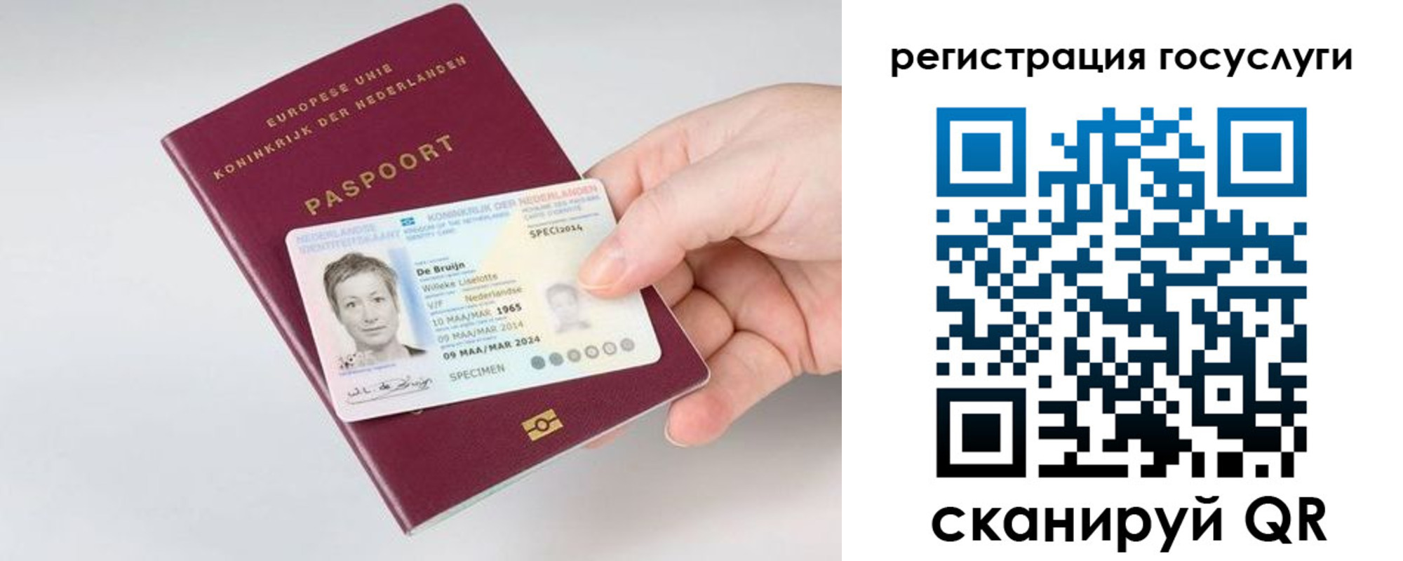 регистрация для дет. сада в Приморском крае